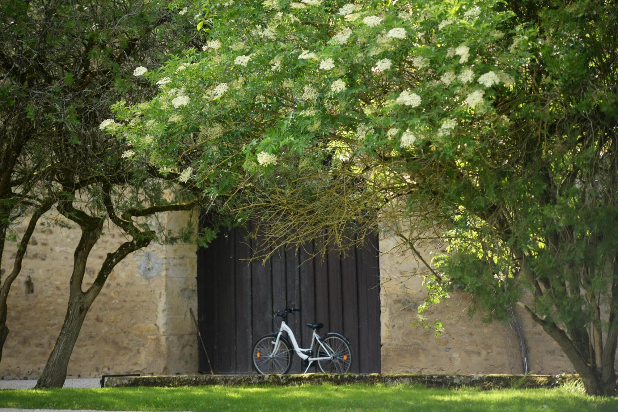 Chateau De Vault De Lugny Exterior foto