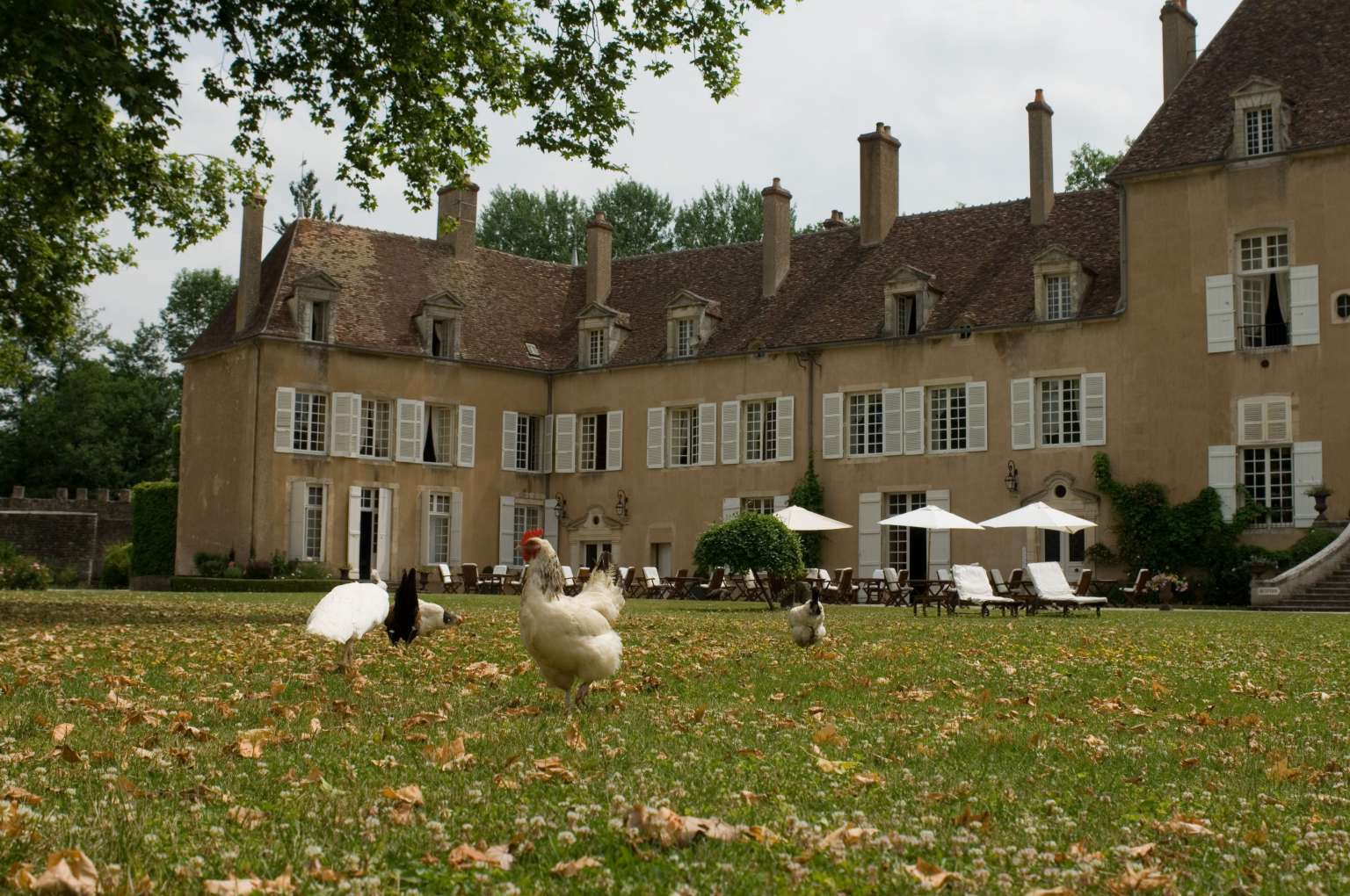 Chateau De Vault De Lugny Exterior foto
